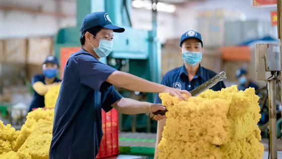 Giá cao su hôm nay 9/6/2025: Thế giới đồng loạt tăng