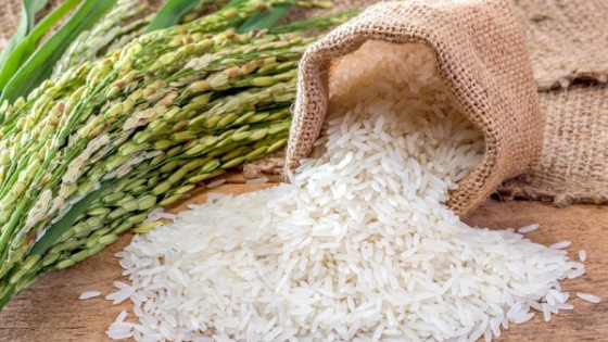 Giá lúa gạo hôm nay 15/6/2025: Đồng loạt đứng yên