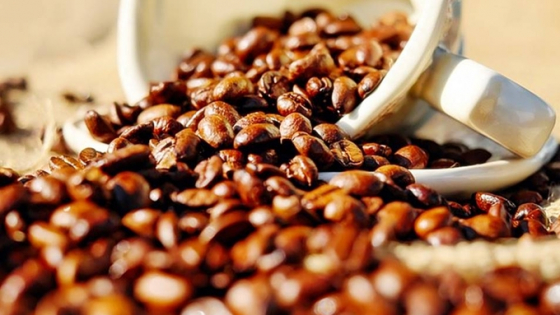 Giá cà phê hôm nay 20/6/2025: Arabica vẫn lao dốc