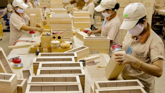 Vietnam-IWPA: Cooperation in developing transparent and sustainable wood supply chain