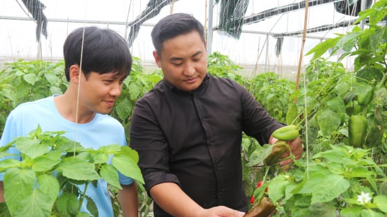 Xanh mướt trang trại nông nghiệp thuận tự nhiên ở Hà Nội