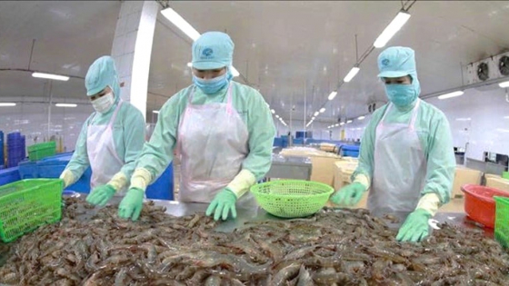 Ba kịch bản tăng trưởng xuất khẩu nông lâm thủy sản khi Mỹ áp thuế mới