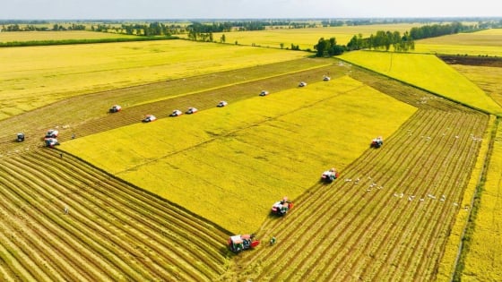 Từ Ngày thống nhất đất nước, nghĩ về một nền nông nghiệp thống nhất