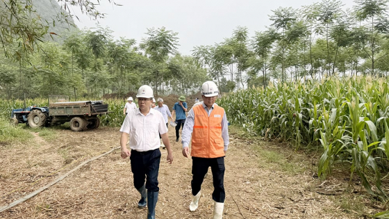 EVN tăng tốc thi công dự án đường dây 500kV Lào Cai – Vĩnh Yên