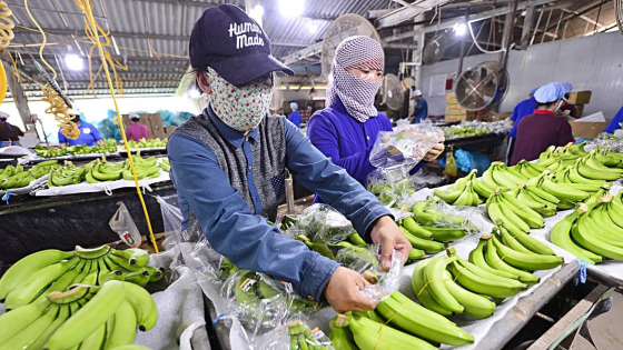 Nông sản giữ vai trụ cột xuất khẩu trong 4 tháng đầu năm