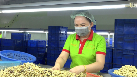 Doanh nghiệp chạy đua xuất hàng sang Mỹ
