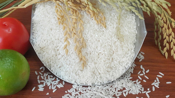 Giá lúa gạo hôm nay 17/6/2025: Gạo nhích nhẹ trở lại