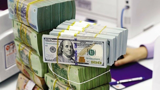 Tỷ giá USD hôm nay 19/6/2025: Thị trường đồng loạt tăng