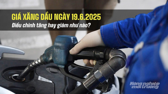Giá xăng dầu trong nước 19/6/2025 tăng hay giảm sau phiên điều chỉnh?