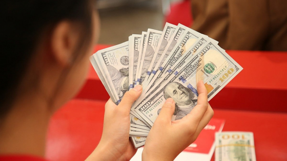 Tỷ giá USD hôm nay 24/6/2025: Trong nước biến động mạnh