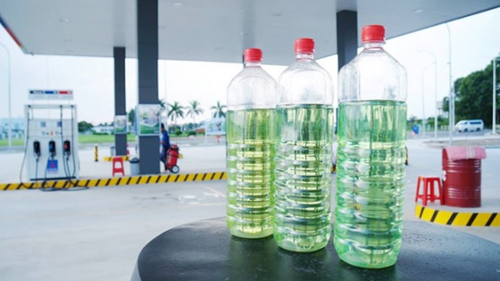 Giá xăng dầu hôm nay 24/6/2025: Quay đầu giảm sâu