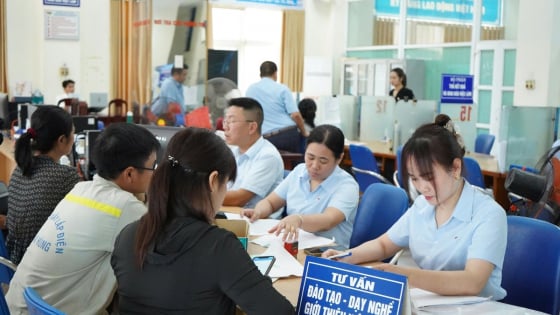 Thái Bình bắc nhịp cầu việc làm