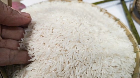 Giá lúa gạo hôm nay 28/6/2025: Đồng loạt đứng yên