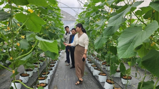 [Bài 4]: Gỡ điểm nghẽn thể chế, tiếp sức cho doanh nghiệp