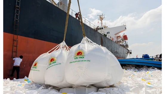 Ngành gạo nguy cơ tồn kho lớn sau cú sốc từ Philippines