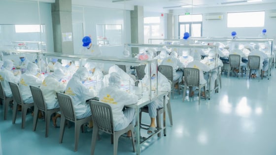 Kết nối bền vững nâng tầm thương hiệu yến Việt