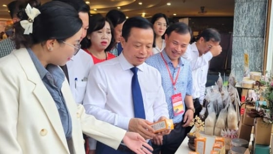 Nhiều doanh nghiệp Trung Quốc muốn đầu tư vào Gia Lai