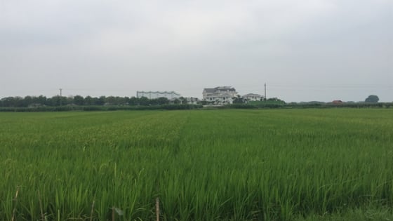 nongnghiep.vn