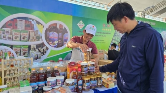Tinh hoa sản vật vùng miền hội tụ phố biển Cửa Lò