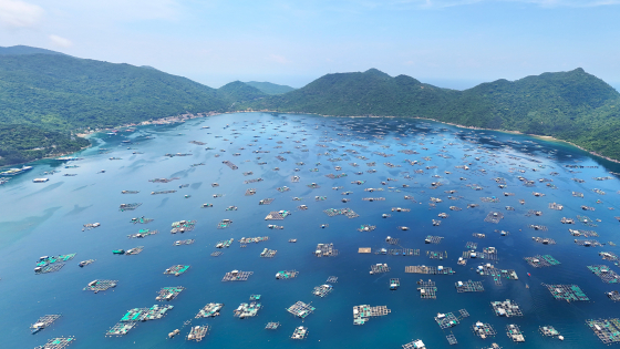 Khoa học đóng góp lớn cho phát triển nuôi trồng thủy sản
