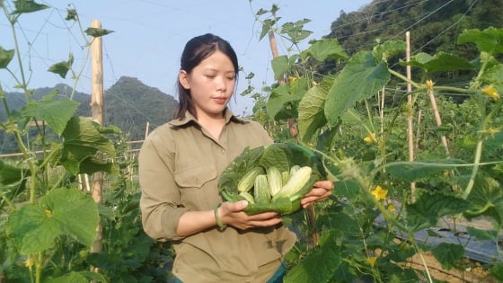 Quyết định táo bạo của một 'Gen Z' xứ Thanh
