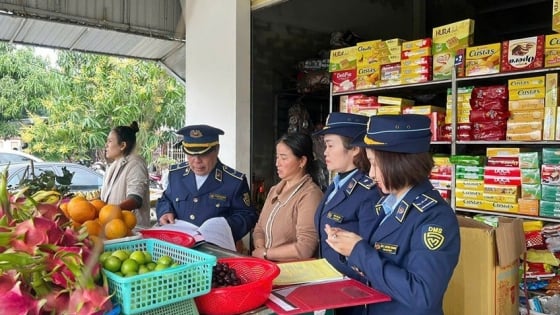 Quyết liệt kiểm tra, xử lý buôn lậu, hàng giả trong lĩnh vực nông nghiệp