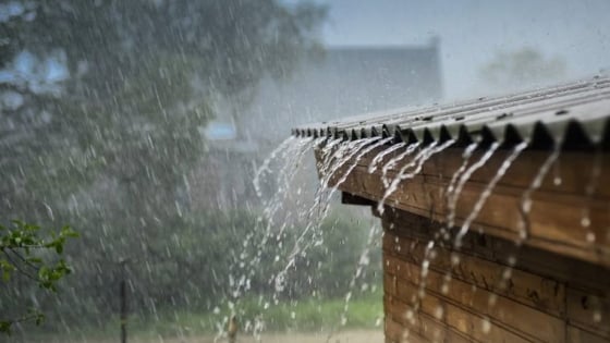 Thời tiết nông vụ ngày 30/05/2025: Mưa duy trì ở nhiều nơi, đề phòng sạt lở