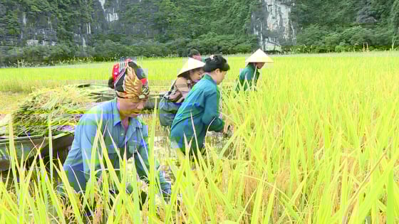 Thời tiết nông vụ ngày 04/06/2025: Mưa giảm dần về cường độ