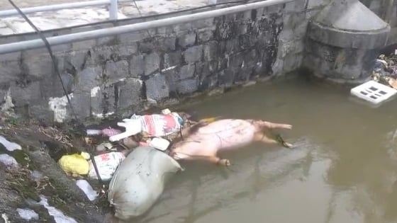 Rác thải đang ‘bức tử’ các dòng kênh thủy lợi