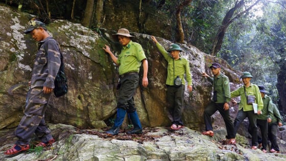 Chuyển dịch tư duy từ lấy rừng làm cuộc sống sang giữ rừng để sống