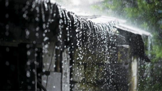 Thời tiết nông vụ ngày 15/08/2025: Mưa hiện diện ở khắp vùng miền