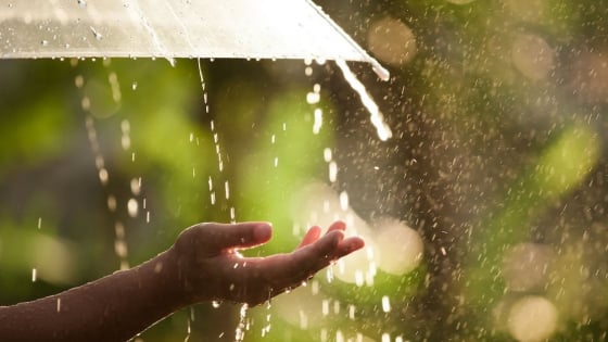 Thời tiết nông vụ ngày 29/08/2025: Mưa vẫn duy trì ở nhiều nơi