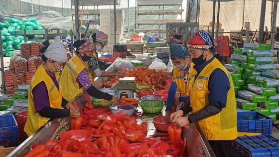 Kỳ vọng mở rộng xuất khẩu nông sản từ Hải Phòng sau sáp nhập
