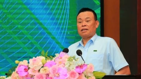 Dabaco có thể điều chỉnh kế hoạch lợi nhuận năm 2025 tăng gấp đôi