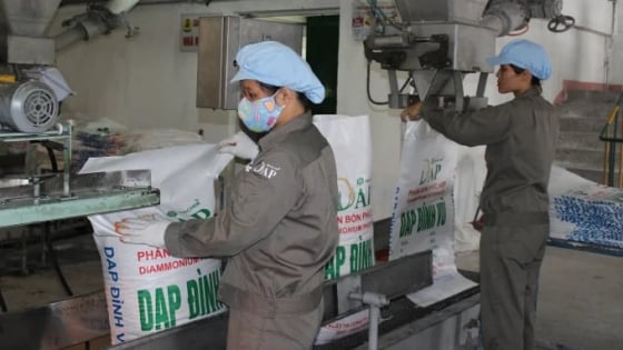 DAP - Vinachem báo lãi quý I/2025 122 tỷ đồng, vượt 50% kế hoạch năm