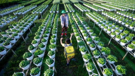 PVCFC phát hành báo cáo bền vững 2024, tiên phong minh bạch và quản trị ESG