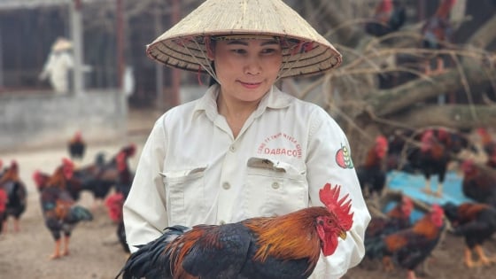Dabaco hoàn thành kế hoạch lợi nhuận năm 2025 sau 6 tháng