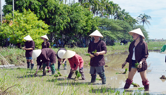 Du lịch nông nghiệp, nông thôn và giải pháp cho phát triển bền vững