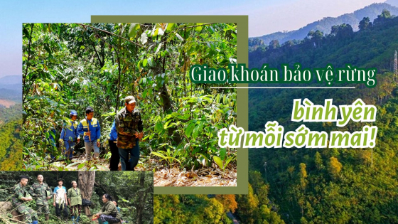Giao khoán bảo vệ rừng: Bình yên từ mỗi sớm mai