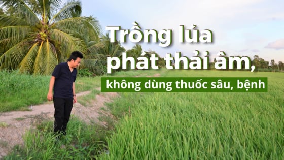 nongsanviet.nongnghiep.vn