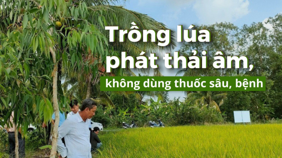 nongsanviet.nongnghiep.vn