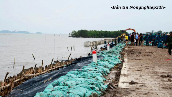 ASEAN đạt nhiều kết quả thiết thực trong phòng chống thiên tai
