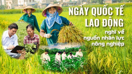 Ngày quốc tế lao động, nghĩ về nguồn nhân lực nông nghiệp