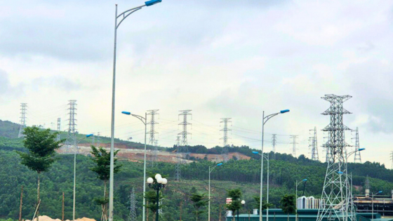 Bản tin Lâm nghiệp ngày 20/5/2024: Phạt doanh nghiệp phá hơn 2,6ha rừng tự nhiên