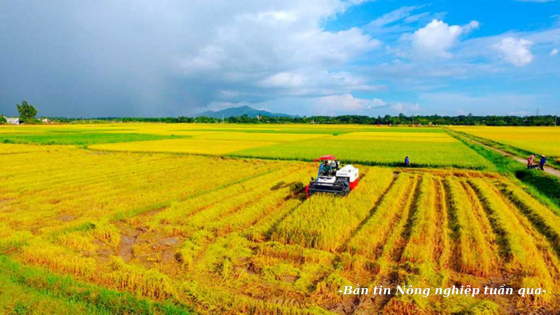 Thành tựu nông nghiệp sẽ tăng trưởng lũy tiến