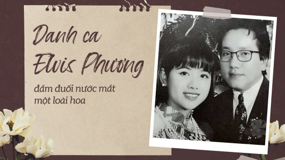 Danh ca Elvis Phương đắm đuối nước mắt một loài hoa
