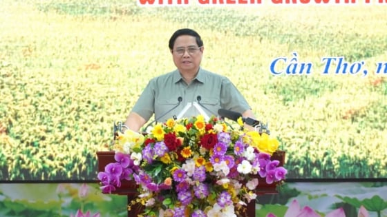 Agribank sẵn sàng đồng hành cùng Đề án 1 triệu ha lúa chất lượng cao