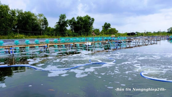 Xây dựng tiêu chuẩn môi trường nuôi trồng thủy sản