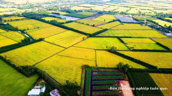 Ngành nông nghiệp chớp cơ hội để bứt phá trong năm 2025