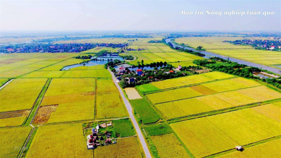 Bộ Nông nghiệp và Môi trường thực hiện nhiệm vụ đa lĩnh vực